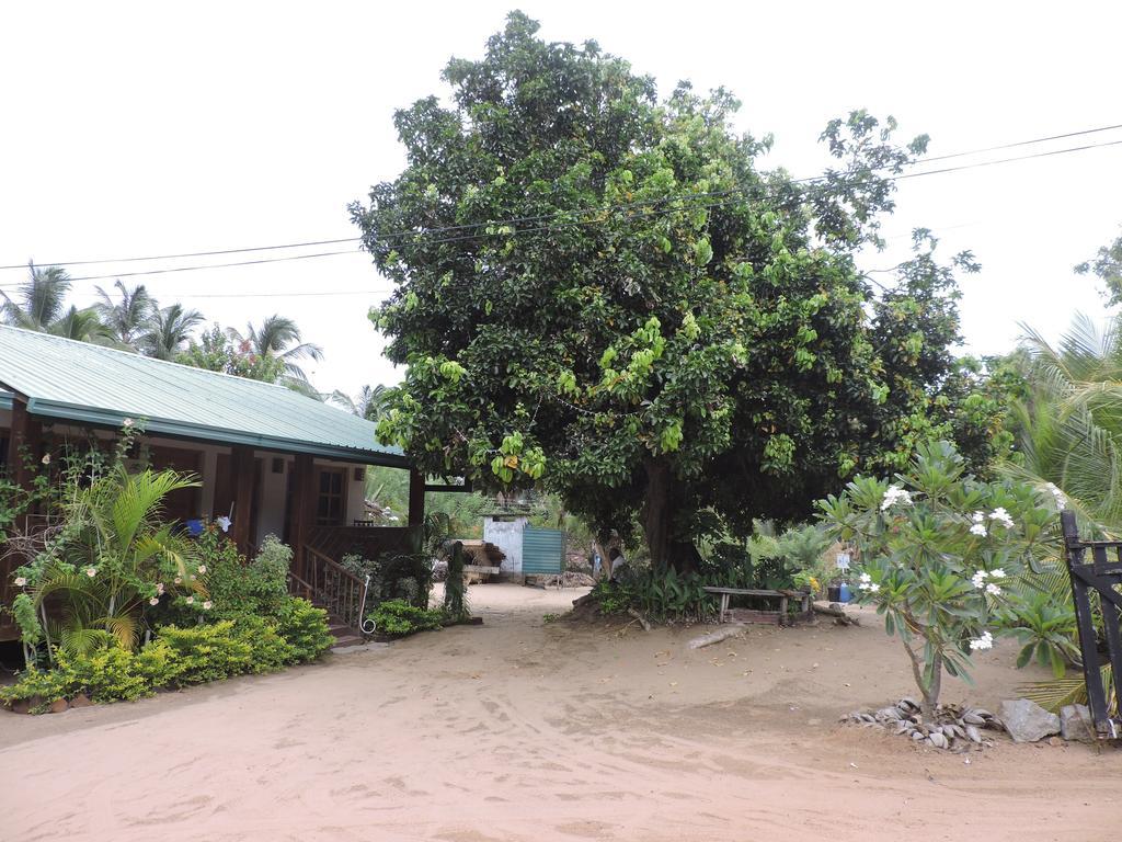 Coco Bay - Arugam Bay Hotell Eksteriør bilde