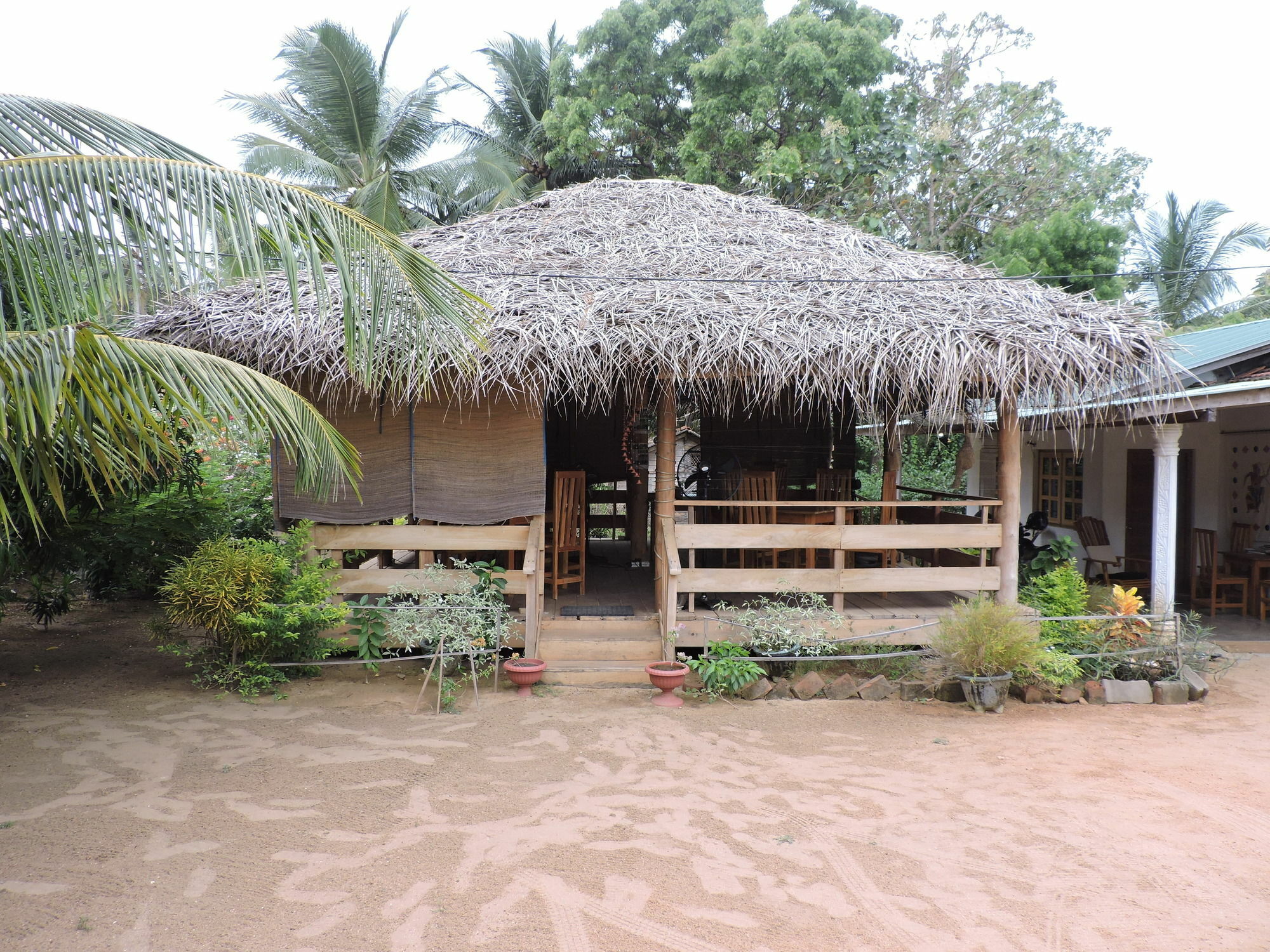 Coco Bay - Arugam Bay Hotell Eksteriør bilde